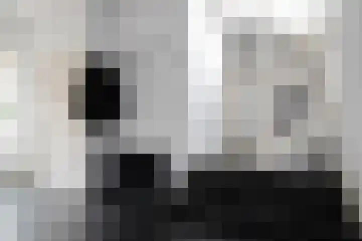 Lijsterbes 8 Borne thumbnail 20