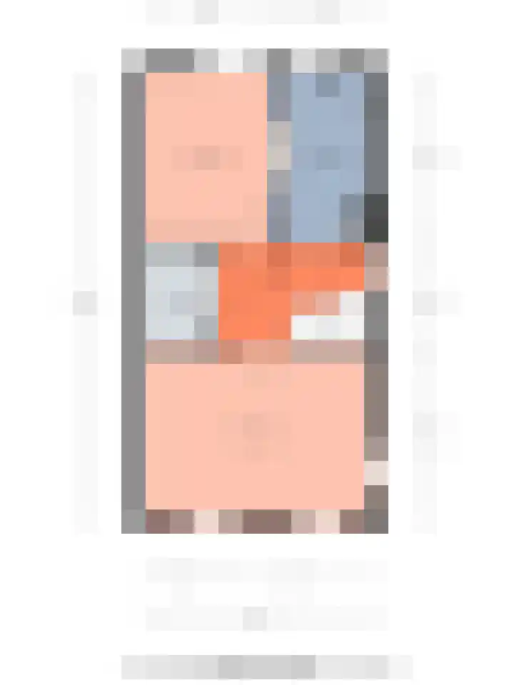 Lijsterbes 8 Borne thumbnail 21