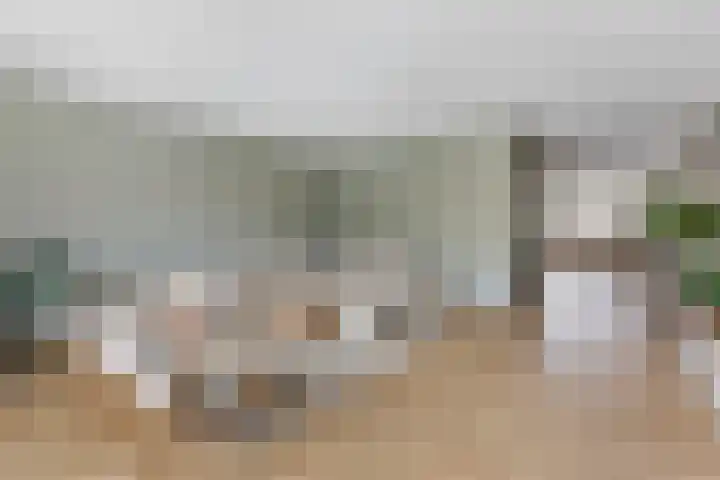 Lijsterbes 8 Borne thumbnail 4