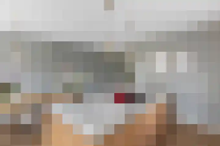Lijsterbes 8 Borne thumbnail 6