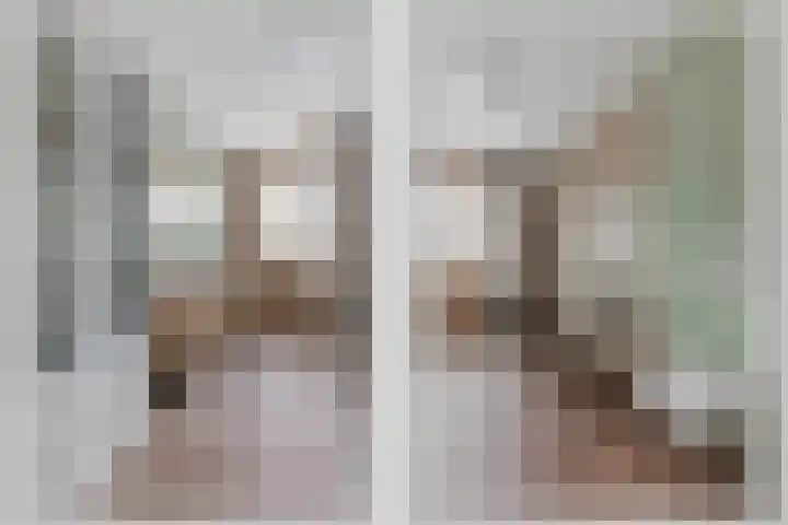 Lijsterbes 8 Borne thumbnail 7