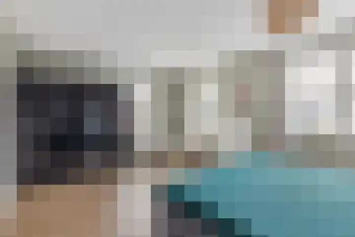 Lijsterbes 8 Borne thumbnail 9