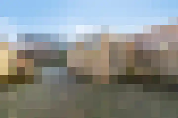 Lijsterbeslaan 17 Duiven thumbnail 19