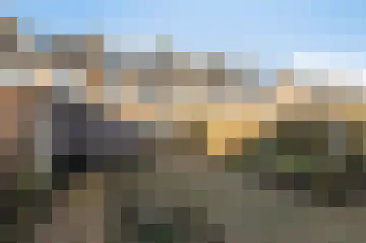 Lijsterbeslaan 17 Duiven thumbnail 23