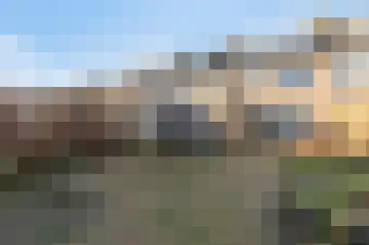 Lijsterbeslaan 17 Duiven thumbnail 24