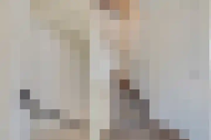Lijsterbeslaan 17 Duiven thumbnail 25