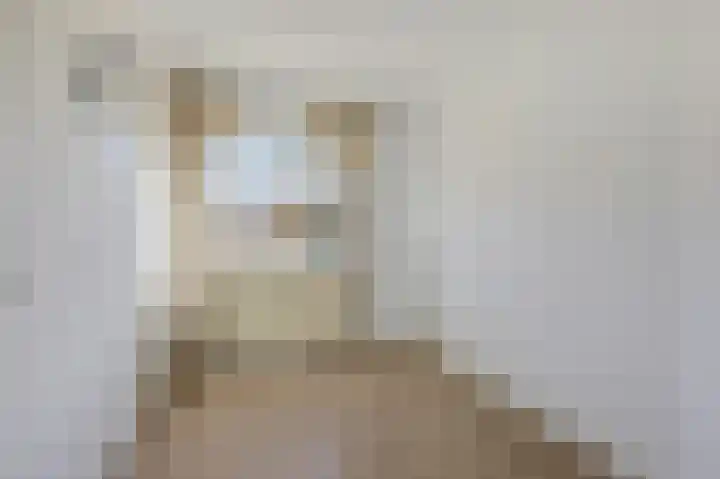 Lijsterbeslaan 17 Duiven thumbnail 26