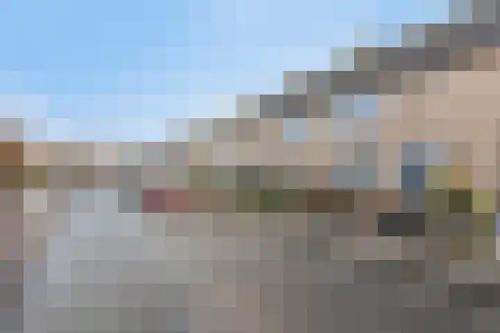 Lijsterbeslaan 17 Duiven thumbnail 42