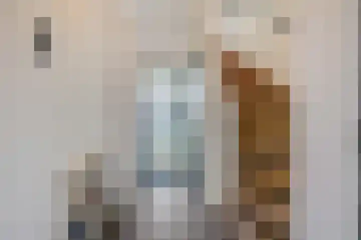 Lijsterbeslaan 17 Duiven thumbnail 8