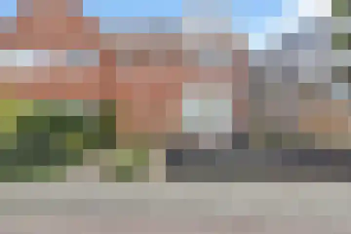 Lijsterbesstraat 53 dans Zaandam