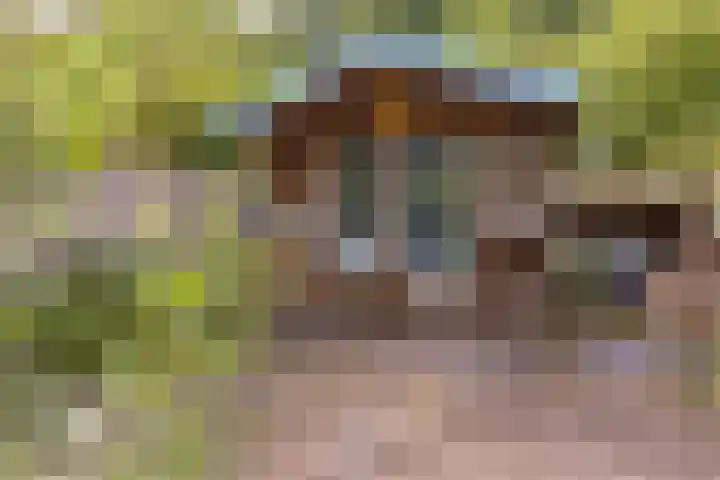 Lijsterhof 20 Made thumbnail 27