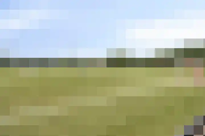 Lijsterhof 20 Made thumbnail 31