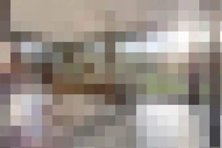 Lijsterlaan 6 Best thumbnail 15