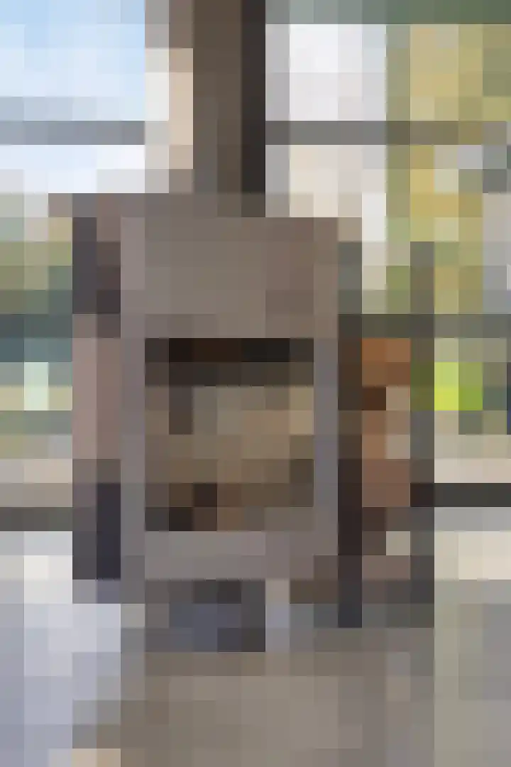 Lijsterlaan 6 Best thumbnail 20