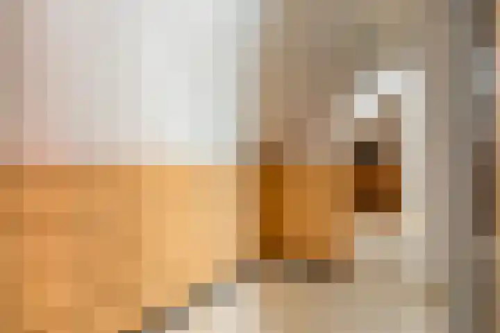 Lijsterlaan 6 Best thumbnail 29