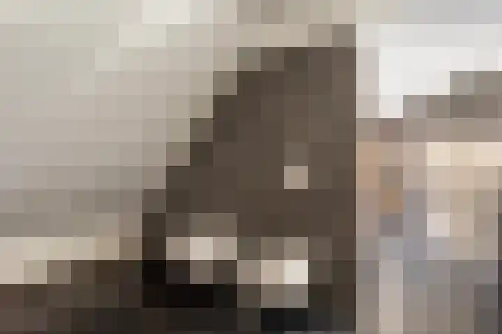 Lijsterlaan 6 Best thumbnail 33