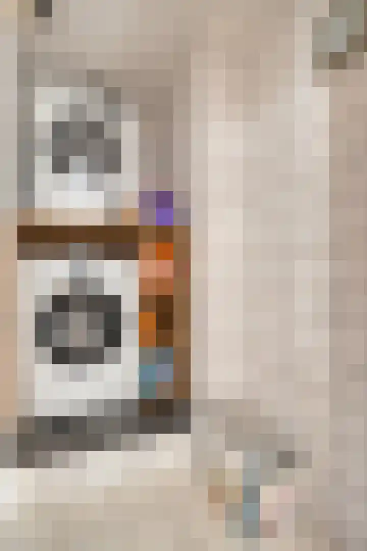 Lijsterlaan 6 Best thumbnail 36