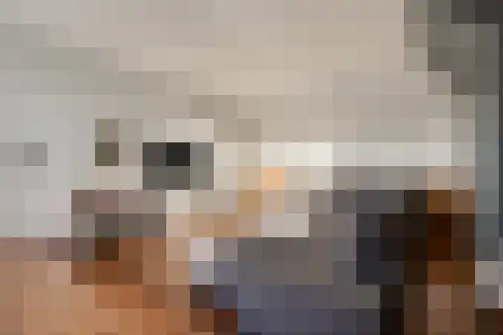 Lijsterlaan 6 Best thumbnail 41