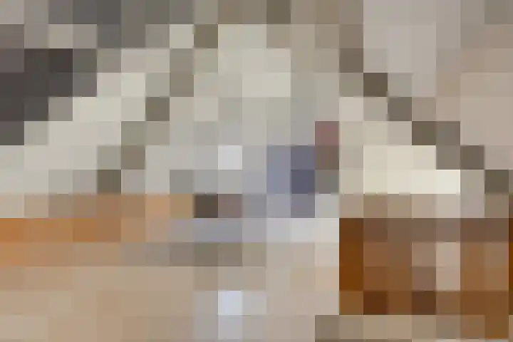Lijsterlaan 6 Best thumbnail 44