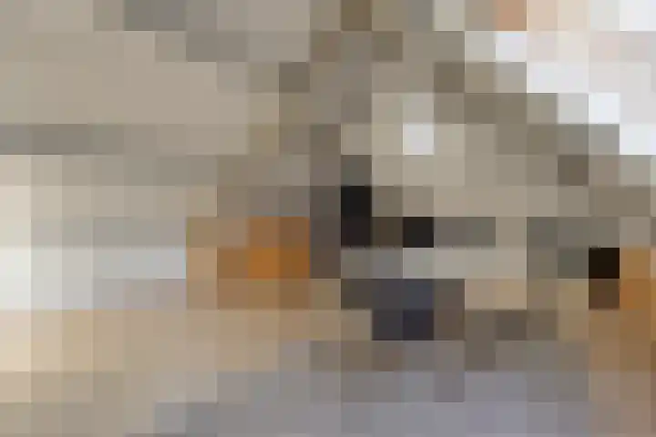 Lijsterlaan 6 Best thumbnail 45