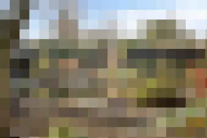 Lijsterlaan 6 Best thumbnail 51