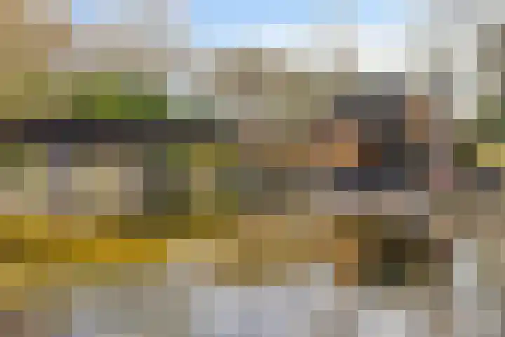 Lijsterlaan 6 Best thumbnail 53