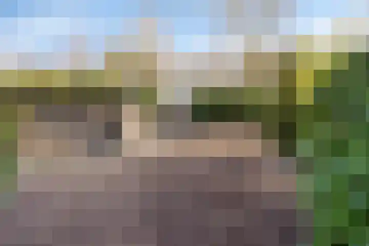 Lijsterlaan 6 Best thumbnail 56