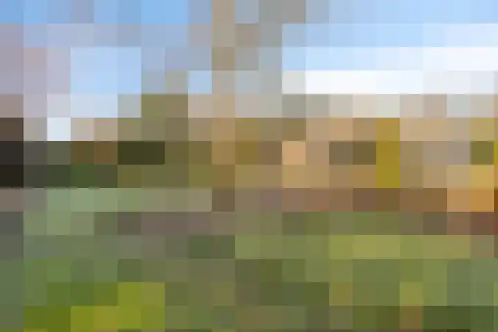 Lijsterlaan 6 Best thumbnail 57