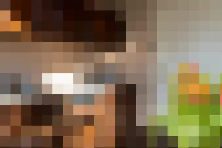 Lijsterstraat 1 E Ulft thumbnail 8
