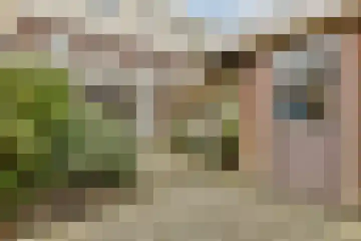 Lijsterstraat 20 Haarlem thumbnail 13