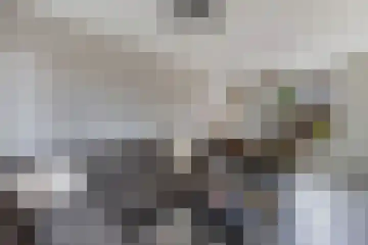 Lijsterstraat 29 Wolvega thumbnail 11
