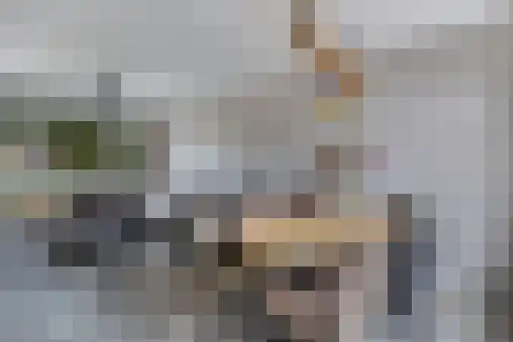 Lijsterstraat 29 Wolvega thumbnail 14