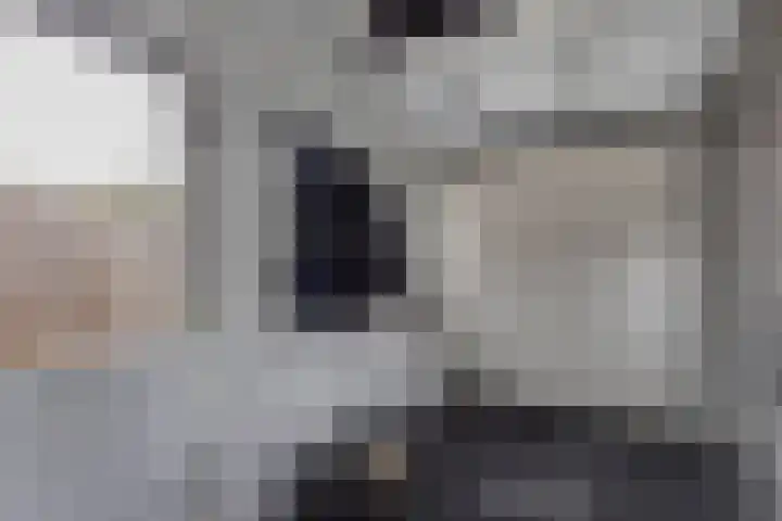 Lijsterstraat 29 Wolvega thumbnail 21