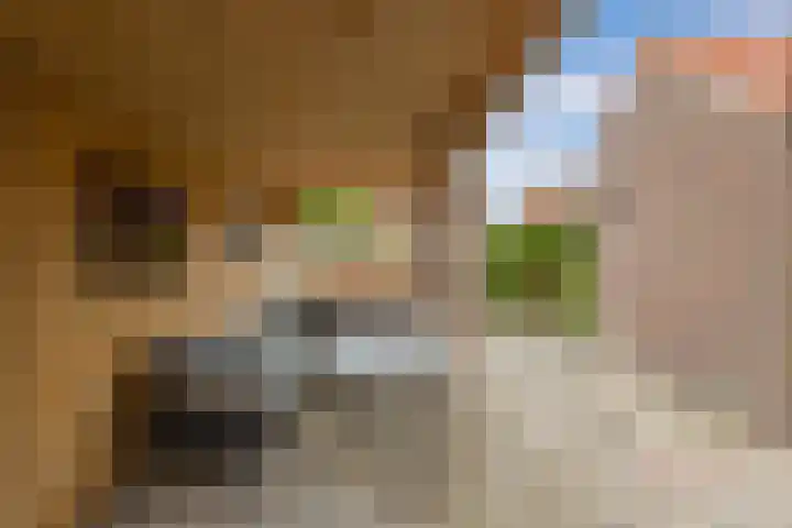 Lijsterstraat 29 Wolvega thumbnail 36