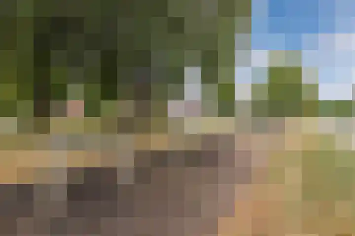 Lijsterstraat 29 Wolvega thumbnail 47