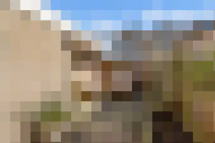 Lijsterstraat 56 Neede thumbnail 36