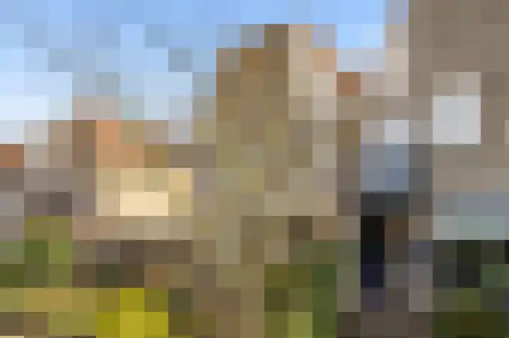 Lijsterstraat 56 Neede thumbnail 42