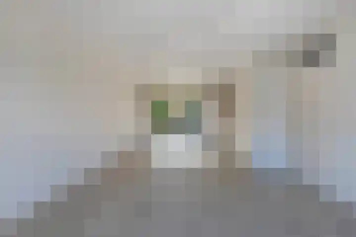 Lijsterstraat 9 Wolvega thumbnail 11