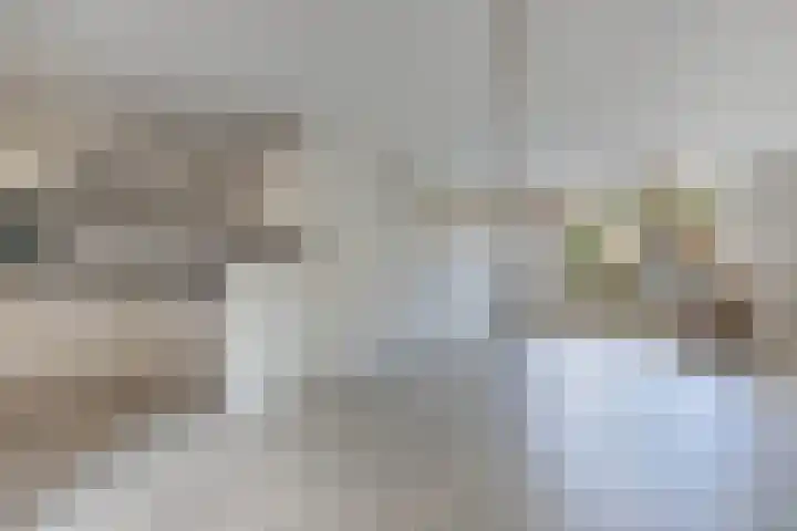 Lijsterstraat 9 Wolvega thumbnail 13