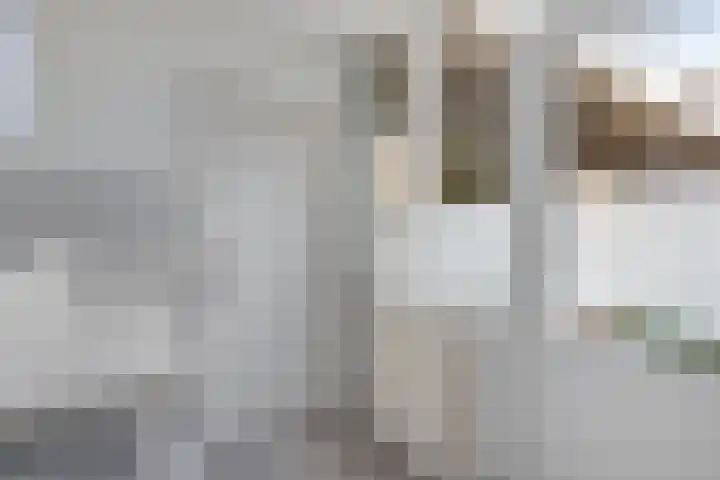 Lijsterstraat 9 Wolvega thumbnail 19