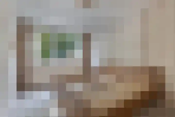Lijsterstraat 9 Wolvega thumbnail 20