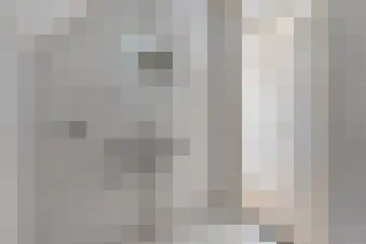 Lijsterstraat 9 Wolvega thumbnail 33