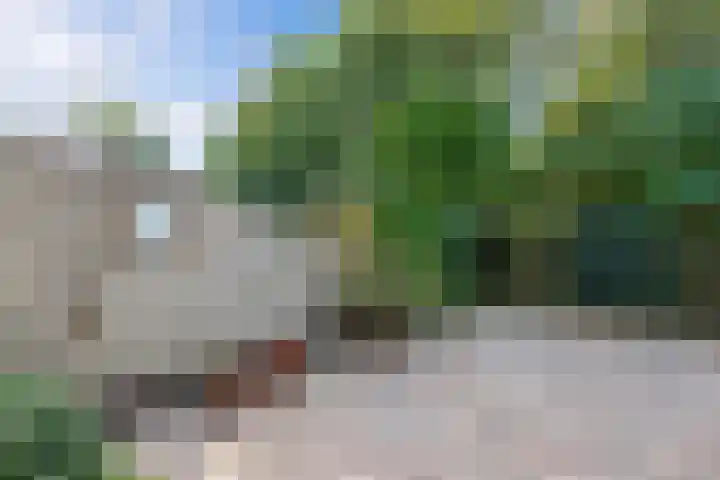 Lijsterstraat 9 Wolvega thumbnail 39