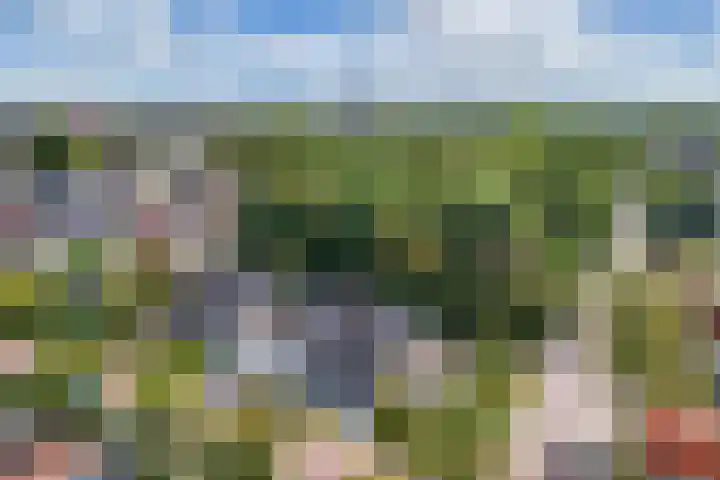 Lijsterstraat 9 Wolvega thumbnail 4