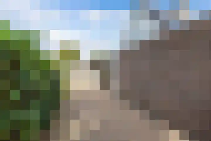 Lijsterstraat 9 Wolvega thumbnail 42