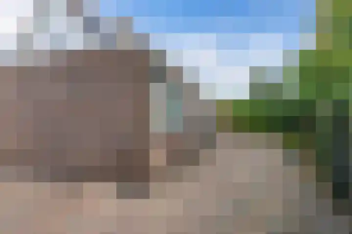 Lijsterstraat 9 Wolvega thumbnail 45