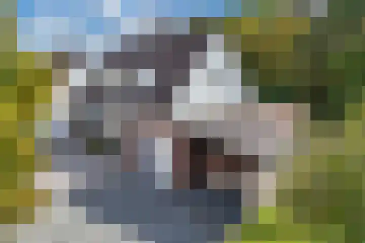 Lijsterstraat 9 Wolvega thumbnail 46