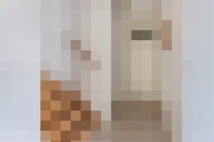 Lijsterstraat 9 Wolvega thumbnail 5