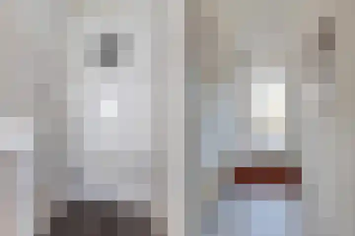 Lijsterstraat 9 Wolvega thumbnail 6