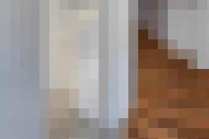 Lijsterstraat 9 Wolvega thumbnail 7